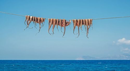 Χταπόδι: Και θρεπτικό και με χαμηλή χοληστερίνη