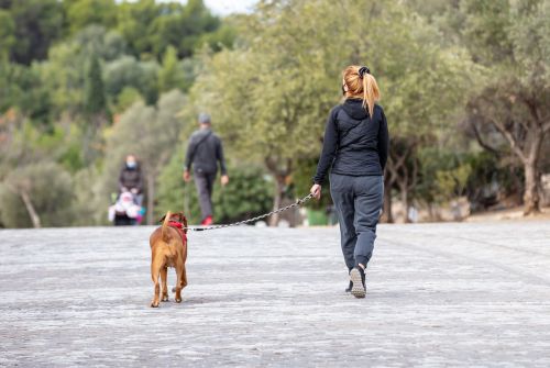 Κοροναϊός: Νέα μέτρα από Δευτέρα – Τι αλλάζει