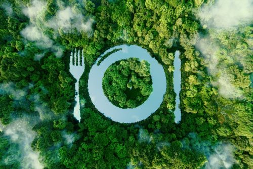 Planet friendly δίαιτα: Σωτήρια για την υγεία μας και την υγεία του πλανήτη