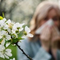 Αλλεργική ρινίτιδα: Αυτό που θα σας ανακουφίσει φέτος την άνοιξη, υπάρχει ήδη στην κουζίνα σας