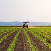 H παγκόσμια παραγωγή τροφίμων απειλείται από την κλιματική αλλαγή